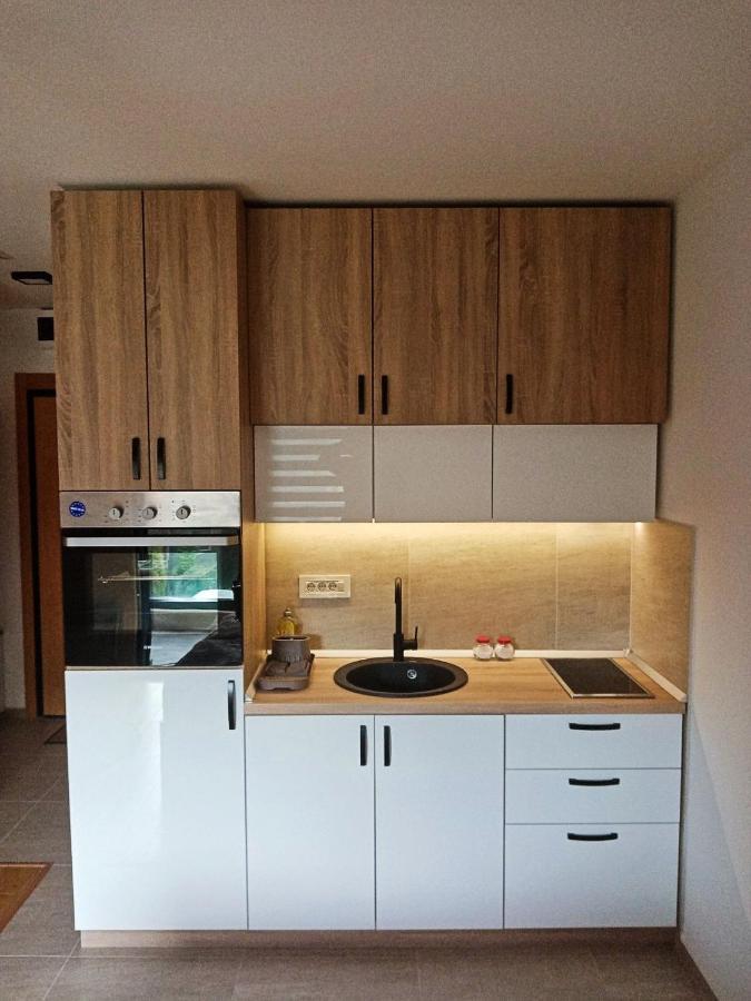 Studio Apartman Gorski Kristal Zlatibor Dış mekan fotoğraf